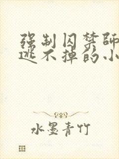 强制囚禁师尊你逃不掉的小说