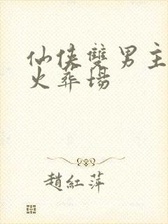 仙侠双男主追妻火葬场