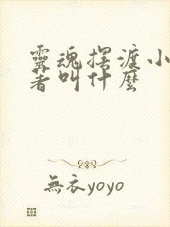 灵魂摆渡小说原著叫什么