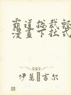 霸道总裁轻点爱漫画下拉式免费看