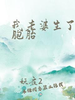 我老婆生了对双胞胎