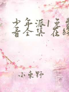 少年派1免费观看全集 在线播放