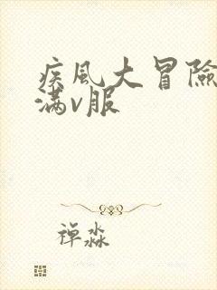 疾风大冒险手游满v服