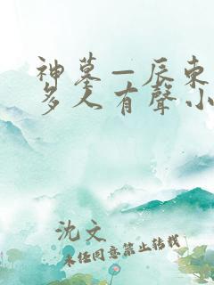 神墓—辰东免费多人有声小说