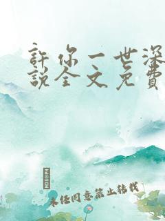 许你一世深情小说全文免费阅读