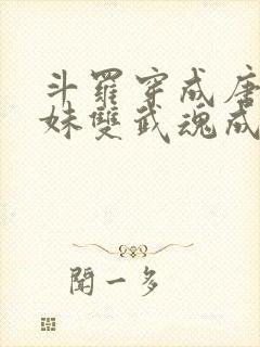 斗罗穿成唐三亲妹双武魂成神