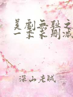 美剧无耻之徒第一季未删减在线看