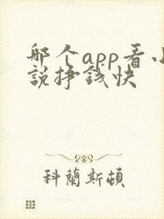 哪个app看小说挣钱快