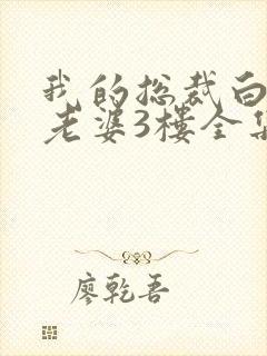 我的总裁白富美老婆3楼全集免费下载