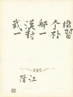 武汉哪个机构能一对一补习