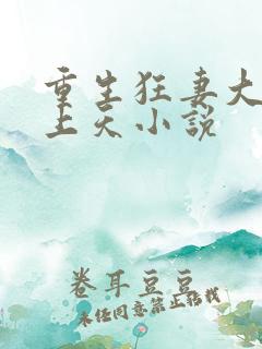 重生狂妻大佬宠上天小说