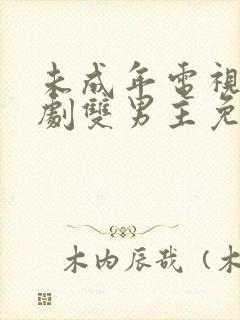 未成年电视剧日剧双男主免费观看