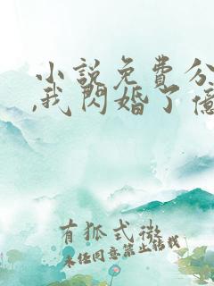 小说免费分手后,我闪婚了亿万富豪