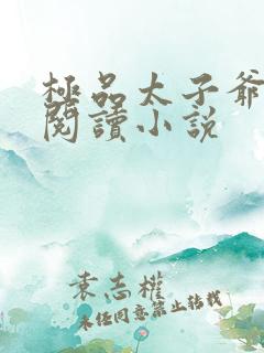 极品太子爷全文阅读小说