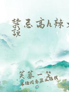 禁忌高h辣文小说