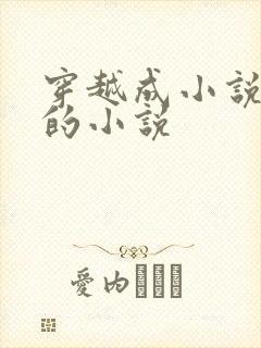 穿越成小说反派的小说