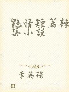 艳情短篇辣文合集小说