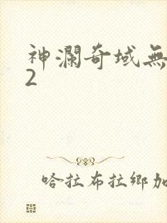 神澜奇域无双珠2