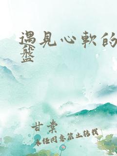 遇见心软的神网盘