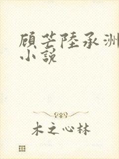 顾芒陆承洲网络小说