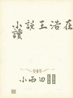 小说王浩在线阅读