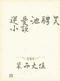 逆爱池骋吴所谓小说