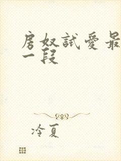 房奴试爱最污的一段