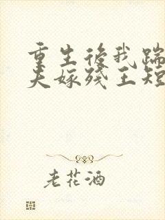 重生后我踹掉渣夫嫁残王短剧免费观看