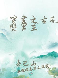 穿书文古风推荐双男主