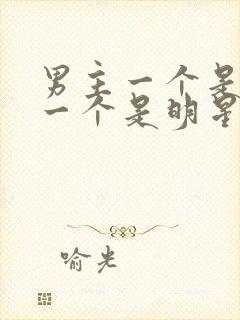 男主一个是影帝一个是明星