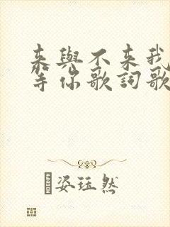 来与不来我都在等你歌词歌曲