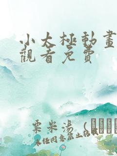 小太极动画在线观看免费