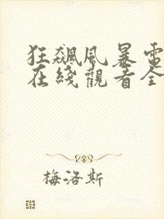 狂飙风暴电视剧在线观看全集高清