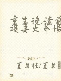 重生后,渣前夫追妻火葬场