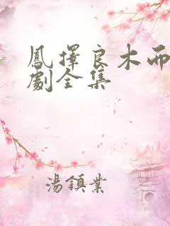 凤择良木而栖短剧全集