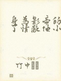身为影帝的我成了情敌他小妈小说
