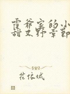 霍爷家的小祖宗甜又野章节