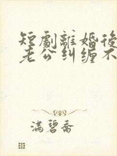 短剧离婚后前夫老公纠缠不休