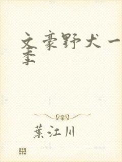 文豪野犬一共几季