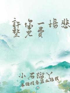 许你一场悲欢完整免费