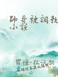 帅哥被调教日常小说