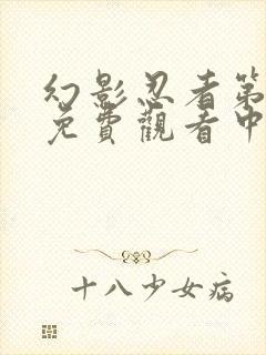 幻影忍者第一季免费观看中文版