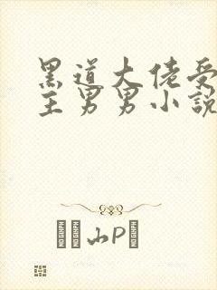 黑道大佬受双男主男男小说