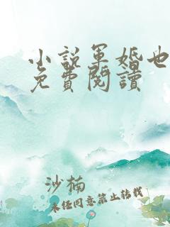 小说军婚也缠绵免费阅读