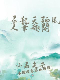 寻龙天师风尘散人笔趣阁
