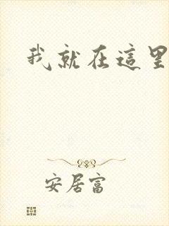 我就在这里日语