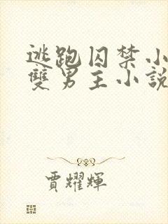 逃跑囚禁小少爷双男主小说推荐完结文