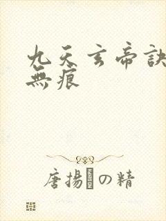九天玄帝诀傲天无痕