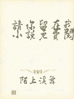 请你留在我身边小说免费阅读无弹窗