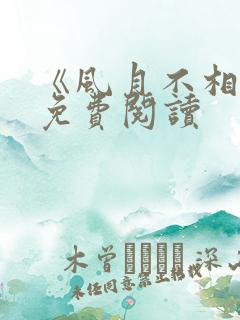 《风月不相关》免费阅读